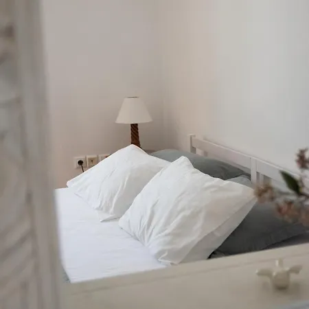 Visinokipos House Daire Mirsini (Tinos)