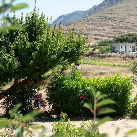 Visinokipos House *
